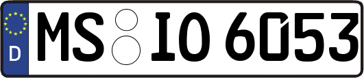 MS-IO6053