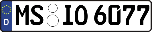 MS-IO6077