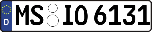 MS-IO6131