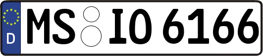 MS-IO6166