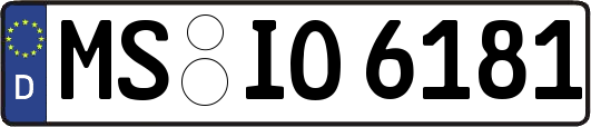 MS-IO6181