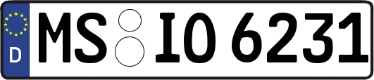 MS-IO6231
