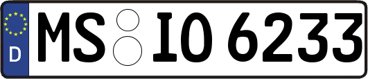 MS-IO6233