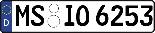 MS-IO6253