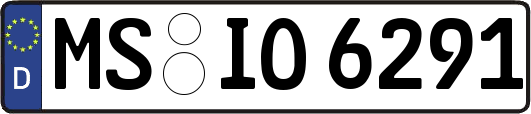 MS-IO6291