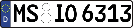MS-IO6313