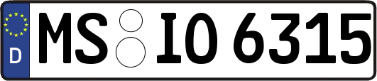 MS-IO6315