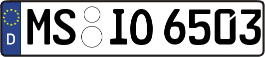 MS-IO6503