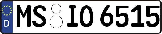 MS-IO6515