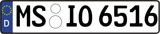 MS-IO6516