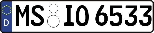 MS-IO6533