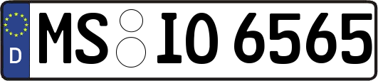 MS-IO6565