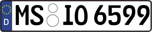 MS-IO6599