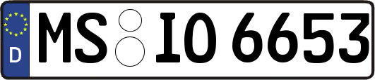 MS-IO6653