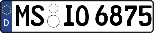 MS-IO6875