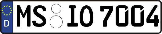 MS-IO7004