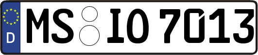 MS-IO7013