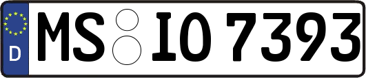 MS-IO7393