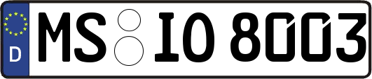 MS-IO8003