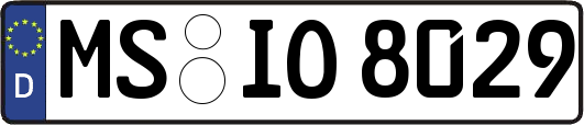 MS-IO8029