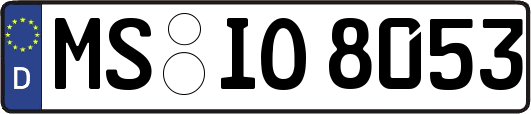 MS-IO8053