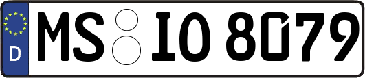 MS-IO8079