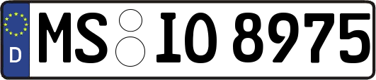 MS-IO8975