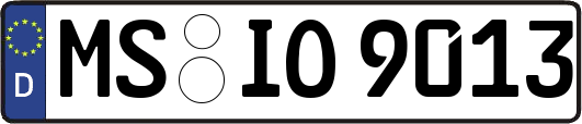 MS-IO9013