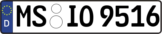 MS-IO9516