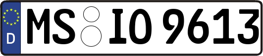 MS-IO9613