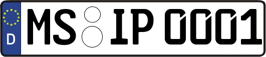 MS-IP0001