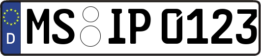 MS-IP0123