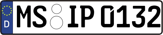 MS-IP0132