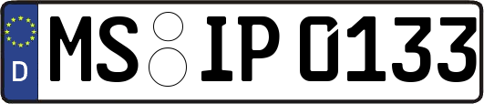 MS-IP0133