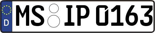 MS-IP0163