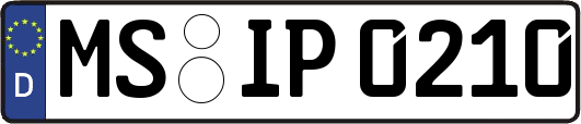 MS-IP0210