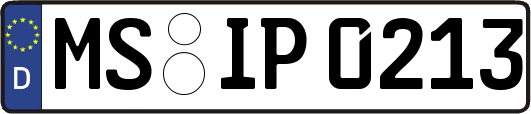 MS-IP0213