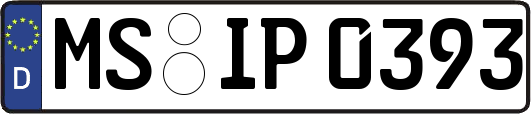 MS-IP0393