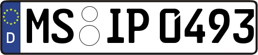 MS-IP0493