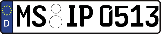 MS-IP0513