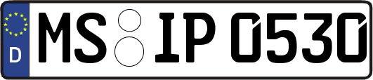 MS-IP0530