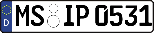 MS-IP0531