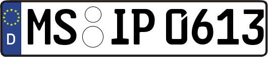 MS-IP0613