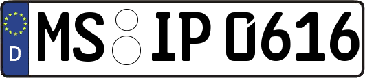 MS-IP0616