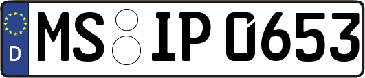 MS-IP0653