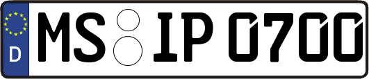 MS-IP0700