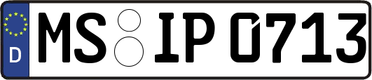 MS-IP0713