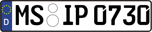 MS-IP0730