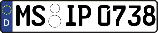 MS-IP0738