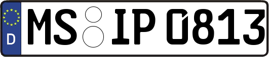 MS-IP0813